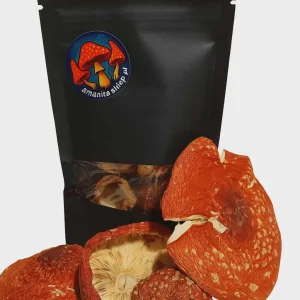 susz czapki Amanita Muscaria 100g.