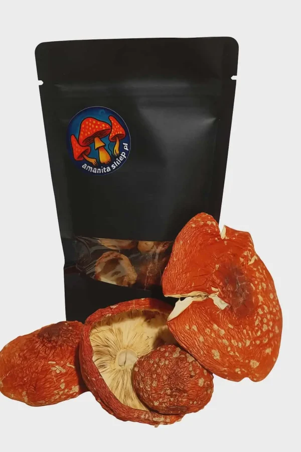 susz czapki Amanita Muscaria 100g.