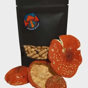 Kapsułki Amanita Muscaria 100szt.