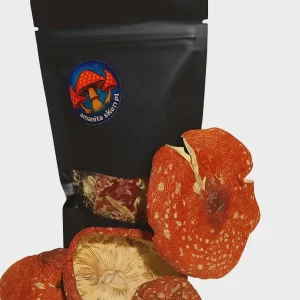 Susz Amanita Muscaria – najwyższej jakości 100g.