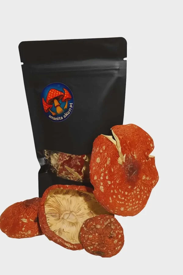 d3028d2e-0e94-4bea-8b02-d061ba1a90fc Susz Amanita Muscaria – najwyższej jakości 100g.